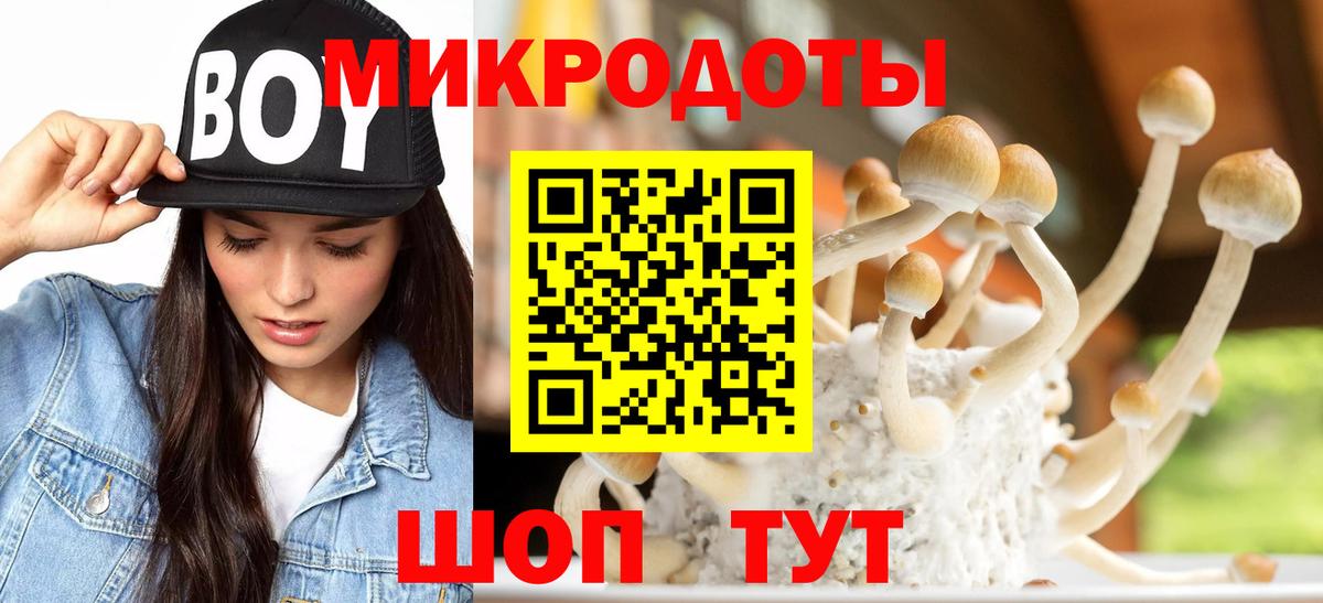 магазин    Галлюциногенные грибы GOLDEN TEACHER  Галлюциногенные грибы мицелий  Вход с VPN  Урюпинск 
